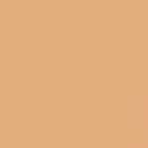 GDX Kağıt Sonsuz Stüdyo Fon Perde (Beige) 2.70x11 Metre Fareyi Resmin Üzerine Getirin