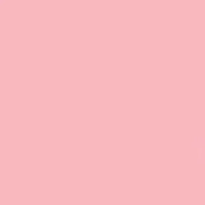 GDX Kağıt Sonsuz Stüdyo Fon Perde (Coral) 2.70x11 Metre Fareyi Resmin Üzerine Getirin
