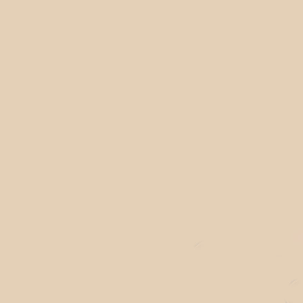 Gdx Kağıt Sonsuz Stüdyo Fon Perde (Egg Nog) 2.70x11 Metre - Görsel 2