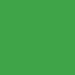 Gdx Kağıt Sonsuz Stüdyo Fon Perde (Green/Yeşil) 2.70x11 Metre Fareyi Resmin Üzerine Getirin