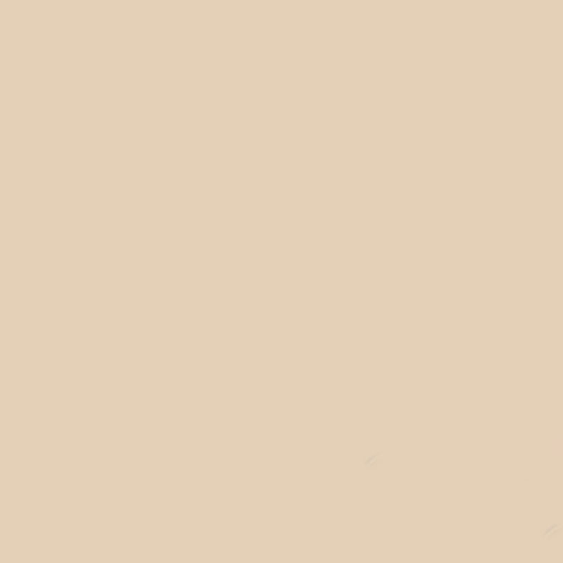 Gdx Seyyar Kağıt Sonsuz Stüdyo Fon Perde (Egg Nog) 2.70x11 Metre - Görsel 5