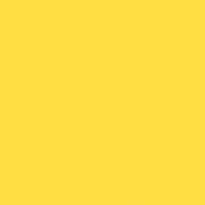 GDX Kağıt Sonsuz Stüdyo Fon Perde (Canary) 2.70x11 Metre Fareyi Resmin Üzerine Getirin