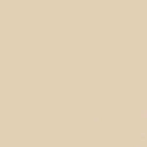 GDX Kağıt Sonsuz Stüdyo Fon Perde (Egg Nog) 2.70x11 Metre Fareyi Resmin Üzerine Getirin